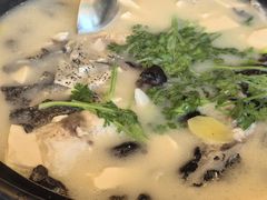 -老淳安—伴山伴湖(千岛湖开元度假村店)