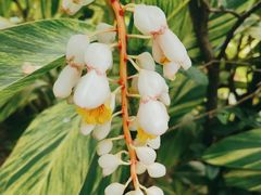 -广州神农草堂中医药博物馆