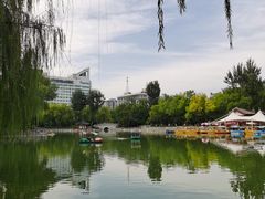 -莲湖公园