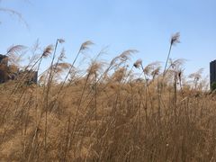 -保定东湖公园(莲池区)