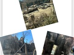 -北京动物园