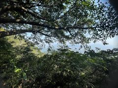 -广州市白云山风景名胜区