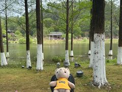 -常德桃花源景区