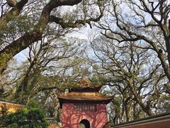 -普陀山风景名胜区-法雨禅寺