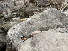 -湖洞水自然风景区