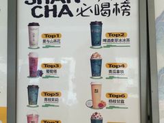 -雾与山茶(大禹城店)