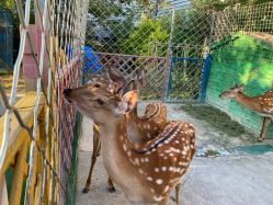 -萌宠亲子动物乐园(槐房万达店)