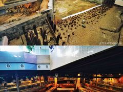 -元代水闸遗址博物馆