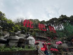 -枇杷园食为鲜火锅(南山店)