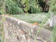 -上海交通大学闵行校区-包玉刚图书馆