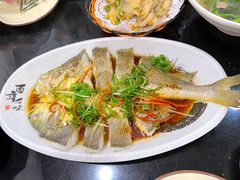 清蒸黄花鱼-潮州菜馆(十里河店)
