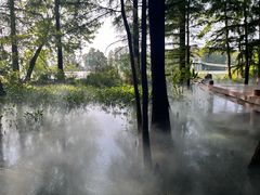 -东湖落雁景区