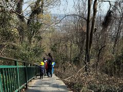 -大蜀山国家森林公园