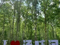 -汤旺河林海奇石景区