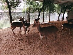 -好江南农庄·农家乐