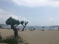 -南丫岛