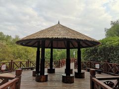 -大亚湾红树林城市湿地公园