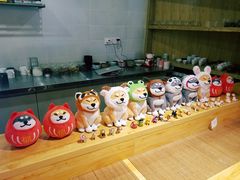 -柴务处·柴犬主题狗咖