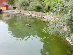 -春风习习