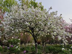 -江南大学(蠡湖校区)