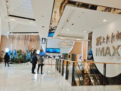 -SFC上影影城(港汇永华IMAX激光店)