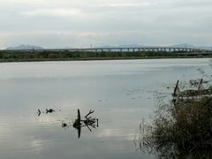 -绿堤公园