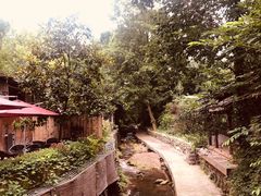 -乐领拈花溪·林涧食韵