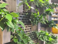 -CoCo都可(360丰产店)