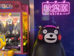 -天天玩X秋葉原日系动漫游戏中心