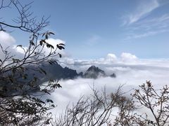 -张家界天门山国家森林公园