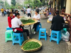 -东吴霸王兔(松青路店)