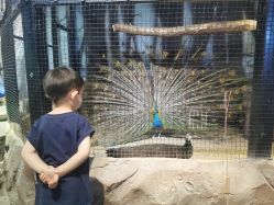 -酷嗒动物文化乐园(cutezoo西溪乐天城店)