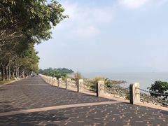 -深圳湾公园(南山区)