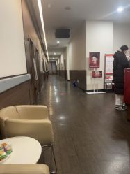 -上海玫瑰医疗美容医院