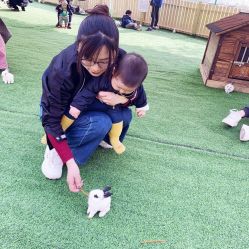 -萌宠亲子动物乐园(槐房万达店)