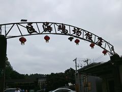 -区海鸡场饭店(石壁店)
