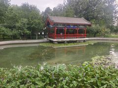 -西海子公园