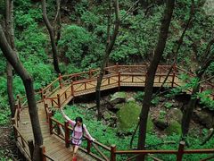 -大岭沟猕猴桃谷风景区