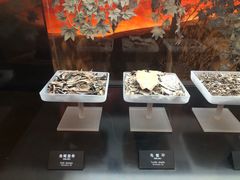 -河姆渡遗址博物馆