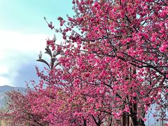 -黑龙潭公园
