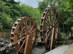 -广州白江湖森林公园