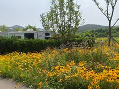 -西海岸生态观光园