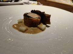 -蝶舍·MAISON PAPILLON