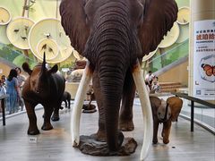 -陕西自然博物馆