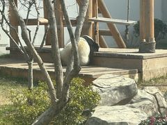 -无锡动物园·太湖欢乐园