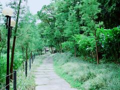 -云溪植物园