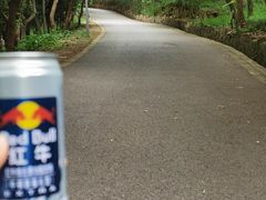 -雨花胜境