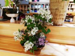 -今日陶艺(富力广场店)