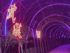 -花博汇(知音花月夜)