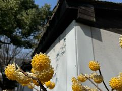 -上海方塔园
